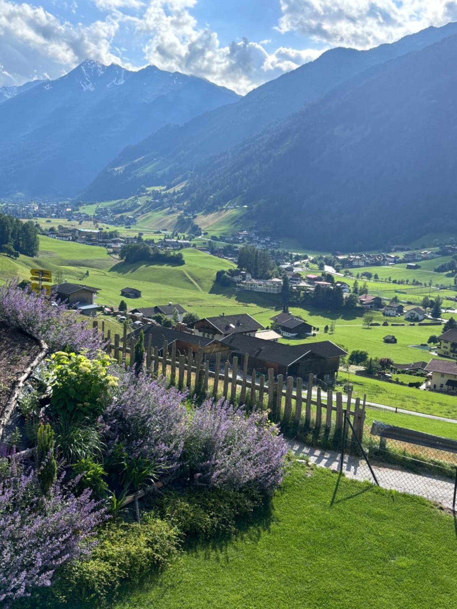 Apartment Serles Neustift Im Stubaital Extérieur photo